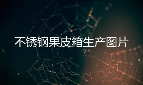 皮箱图片不锈钢果生产